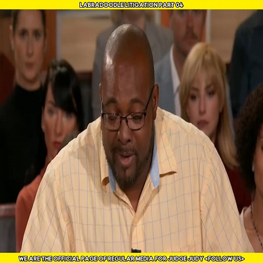 23K views · 304 reactions | Labradoodle Litigation Part 04 | Regular Media | Facebook