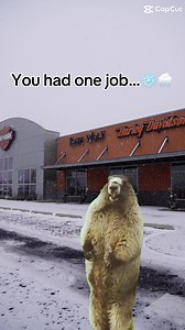 Mr. Groundhog might have deceived us...But that's ok, we have some fresh hot coffee brewin and some hot new 2024's on the showroom floor‼️Stop by where its nice & warm‼️😔❄️ P.s. Come back sunshine we miss you...😩🌤️ | Lone Wolf Harley-Davidson