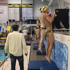 University of Michigan, swim and dive | Swimming Fanatic