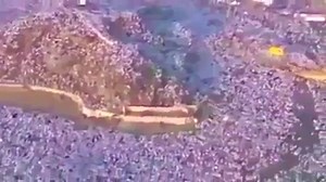 State Observer on Reels