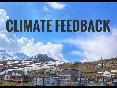 Positive & Negative Climate Feedback Mechanism