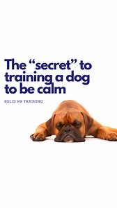 So your dog is running your house, zooming all over, charging the door and possibly biting people. Where do you even begin? DURATION WORK 🙌🏻🙌🏻🙌🏻 This is the keystone behavior we teach all family pet dogs for a reason. A dog that knows how to relax when told to do so, is a dog that is way more apt to stay out of trouble. You can start with something as simple as a basic downstay or place command. Both take a matter of *hours* to teach, and can make all the difference in your dog’s state of 