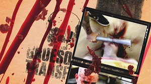 BLOOD & GUTS SEASON 1. Episode 4 JENNIFER ASPINALL 👉👉 : https://youtu.be/D9nyjpiXqcw Hello fiends! On this weeks episode of Blood & Guts I let loose my inner/fatter Jerry Garcia - if Jerry Garcia knew Slayer riffs! A couple of behind the scenes notes: You can’t really tell in the video - I’m playing really loud. Way too loud for a guitar shop. It’s cranked. Only the manager knew it was me so when I walk out with the guitar, the other guys that worked there really thought I was stealing it. Jen