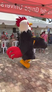 Point Guard Insurance on Reels