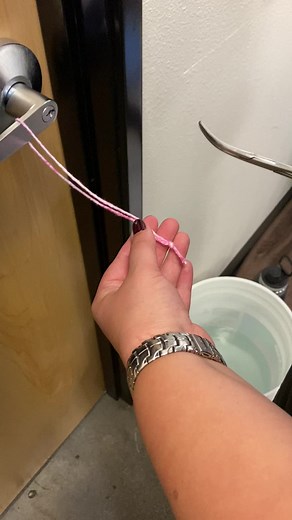 Guide to Neutering Cats: Step-by-Step Tutorial for Veterinary Students