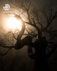 Digested is an open-world horror survival game in which you're being hunted by a giant snake. This look terrifying 😮 via: DigestedGame | Dexerto