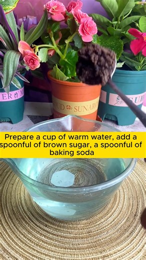 387K views · 5K reactions | Uses of warm water in making root stimulant #gardeninggoals #gardeningistherapy #gardeningtips #gardeninglife #gardening_love #gardeninguk #gardening101 #gardeningtools #gardeningislife #gardeningtherapy #gardeningknowhow #gardeningseason #gardeningismytherapy #gardeningmakesmehappy #gardeningaustraliamag #gardeningday #gardeningideas #gardeningphoto | Gardening Lover | Facebook