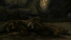 H0rs3 animation - Dragon X furry