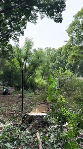 1.5K views | Nasty hackberries tree down #fyp #arborist #chainsawman #viral #treelife #trending #climber #saw #stihl #500i #treework #chains-010 | Daily Cut | Facebook