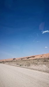 Epic drive in the Kalahari Desert #AfricanBushKingdom #borntobewild #LiveYourWild #wildlife #nature #safari #bush #wild #kalahari | African Bush Kingdom