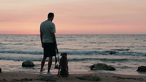 Человек и немецкая собака-боксер, стоящая на: стоковое видео (без лицензионных платежей), 3856051483 | Shutterstock