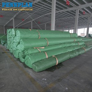 [Hot Item] Construction Material Waterproof Membrane Geosynthetics HDPE Geomembrane