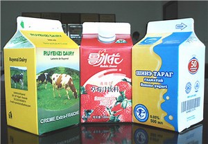 [Hot Item] Whip Topping/Lactobacillus Beverage/Juice/Albumen/Yoghour/Catsup/Jam/Lavation/Fruit Vinegar Package Paper Carton