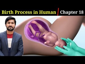 18.11 Birth | Birth process in Human | Fsc Biology 2nd | chapter 18