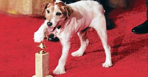 Uggie es la mascota más nominada de Hollywood