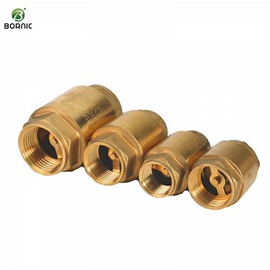 [Hot Item] 1/2"-4" Non Return Valve Vertical Spring Check Valve OEM Supply High Quality Brass Check Valve
