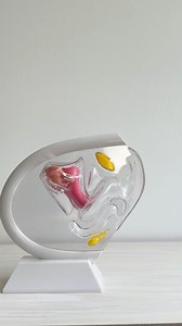"How to insert and remove a period disc" To Insert: 1. Pinch the disc 2. Insert the disc into your vagina, aim down towards the floor, and push back as far as it can go 3. Tuck the rim of the disc behind your pubic bone. 4. Live your life for 12 hours! To Remove: 1. Reach into your vagina with a clean finger and find the rim of the disc (behind your pubic bone) 2. Pull the disc out by the rim, keeping it parallel to the floor 3. Dump period blood into the toilet or down the shower drain 4. Throw