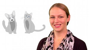 Machine Learning y Deep Learning | Introducción a Deep Learning - MATLAB