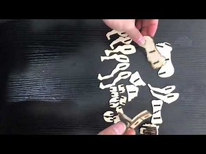 Makeblock Laserbox case assembly -Tiger