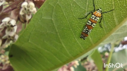 Paddyboyrocks on TikTok