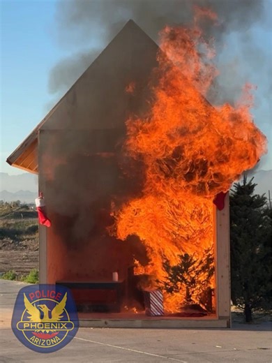 Celebrate the New Year smart, safe, and legal. Legal fireworks can be used from December 26 through January 4, 2026. Also, celebratory gunfire into the air is extremely dangerous and illegal. Shannon's Law makes firing a gun into the air a felony and punishable by more than five years in prison. Enjoy ringing in the New Year responsibly and start 2026 on the right foot. | Phoenix Police Department