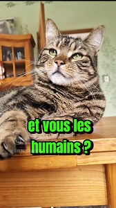 😸😸 | Lolcat