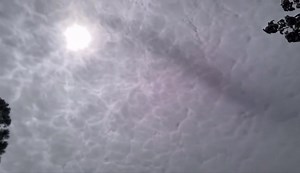 Desde Aibonito por Nilsa Pratts | Deborah Martorell