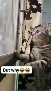 1.6M views · 40K reactions | This is Crazy episode 18 | Zad Xtra | Facebook