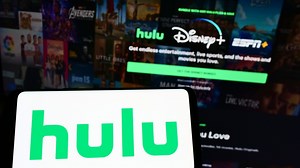 Domain That Redirected Hulu, 491K  Other Websites to Porn Gets Shut Down