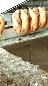 监拍海南文昌一餐厅自制烤炉爆炸 两烧烤师傅当场死亡