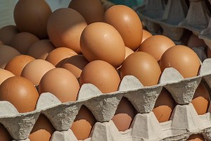 Ostrzeżenie GIS: salmonella w jajkach! Na fermie wykryto pałeczki Salmonella Enteritidis. Sprawdź, czy masz te wycofane jajka!