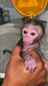 wow bibi bath is great