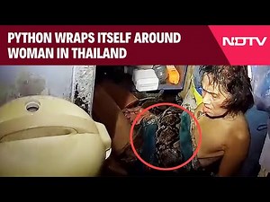 Thailand Python Attack | A Python Wraps Itself Around a Woman in Thailand