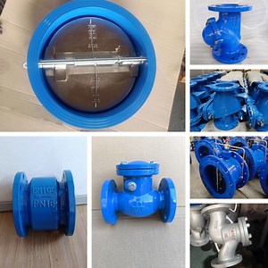 [Hot Item] Cast Steel Ductile Iron Non Return Rubber Ball Swing Flange Check Valve