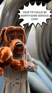 8.8K views | Your Crime Stoppers tips could be worth some serious cash! 205-254-7777 #crime #CrimeStopper #Crimestoppers #Bham #BirminghamAL #Alabama #Hueytown #Irondale #Pelham #Hoover #Alabaster | Crime Stoppers of Metro Alabama | Facebook