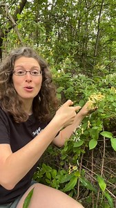 Eating honeysuckle! Did y'all do this as kids? | Anna The Archer