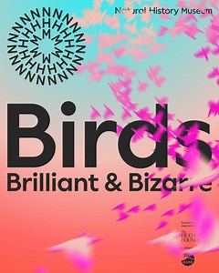 ⭐⭐⭐⭐ - Timeout. Step into the biggest bird collection and explore the epic story of these incredible creatures. Book your tickets to our latest exhibition in affiliation with RSPB now! | Natural History Museum, London