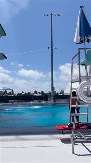 Oops 😅 when your handstand on 20 meters gives everyone on the pool deck a heart attack! 😆 . . . .#diving #highdiving #handstand #fail #save #scare #scary #cliffdiving #oops | Ginni van Katwijk