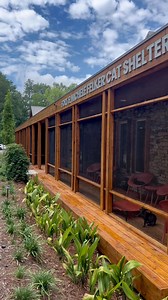 July 15th is recognized as "Feline Leukemia Day", a day to raise awareness about FeLV. Furkids is proud to be one of the few rescue organizations in Georgia that intentionally rescues and cares for FeLV cats. Feline Leukemia Virus is a retrovirus that replicates inside living cells of the immune system, which weakens their bodies' ability to fight illnesses. FeLV can infect other cats via a mother to her litter, bite wounds, mutual grooming, and sharing bowls or litterboxes. It is not transmitta