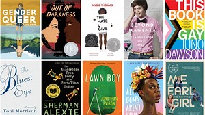 Budget Provisos Are Some Bullshit