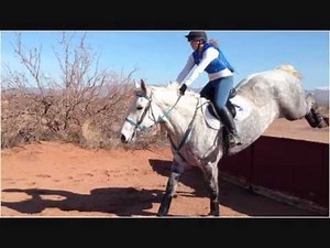 The Jumping Percheron, Training Level Cross Country
