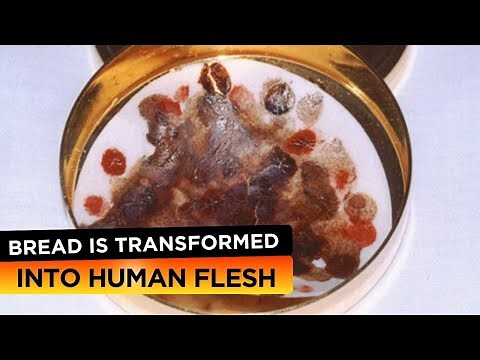 The ULTIMATE Investigation into Eucharistic Miracles - 100 Catholic Miracles (Ep.3)