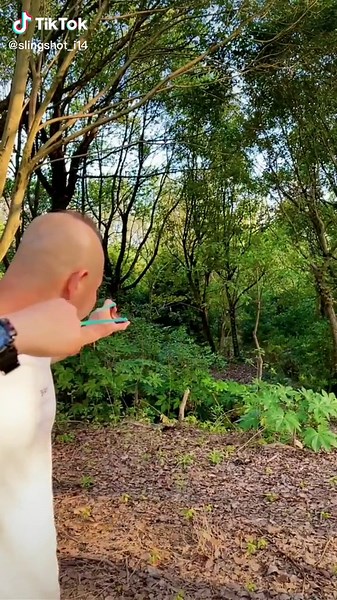 Exploring the Art of Slingshot Technique in Nature