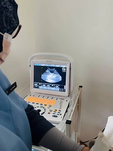 Lama kami tunggu detik ni. Hari tu hantar mating, balik macam dah pregnant. Tapi lepas sebulan tetiba on heat pulakkk. Kali ke2 kami hantar ni besar harapan nak tengok dia pregnant. Dah nampak tanda-tanda pregnant, perut nampak besar sikit, tetek pun besar sikit 🫣 Hari ni bawak pergi vet sebab dia macam ada cacing. Doc cek doc kata memang pregnant ni so tak boleh bagi ubat cacing. Then nak confirmkan berapa anak, doc pun buat ultrasound. Alhamdulillah ada anaknya tapi sekor je. Okaylah Mika, se