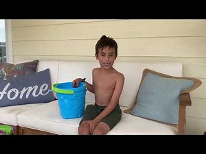 Western Fence vs Alligator Lizard