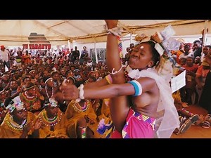 Amatshitshi - Umhlonyana