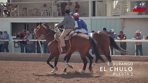27K views · 696 reactions | Maturity Millonario “El Shaman” Satevo Race Track  11 de agosto 2024 Hit 2 Eliminatorio  El Sortilegio Cuadra la Esperanza  El Chulo Cuadra Durango  El Dragón Cuadra Ximena 325v Ganador El Chulo Cuadra Durango  #AmbicionCarrerera | Ambición Carrerera | Facebook