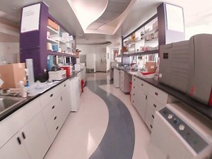 36 reactions · 12 shares | Early morning walk through the lab; while our scientists were in the back rooms working on pharmacology studies we took an opportunity to walk through this usually busy space.六‍To learn more about how ALS TDI keeps pushing research forward during the COVID-19 pandemic, read our news updates here: www.als.net/news/covid-19-news 六‍↔️六‍ | ALS TDI | Facebook