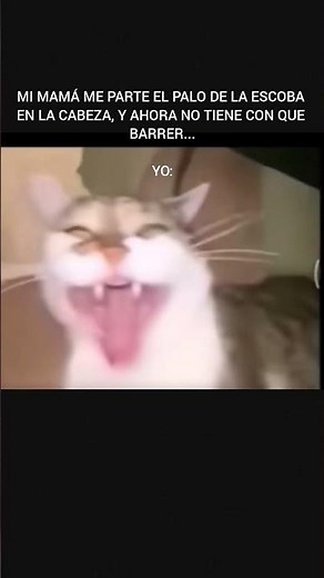 memes random xd #memes #humor