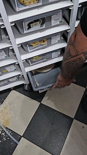 94K views · 32 reactions | Phantom freeway female feeding  #royalpythons #ballpythonlove #beardeddragon #reptilebreeder #snek #morph #leopardgecko #petsnake #herpetology #animal #morphs #cornsnake #snakelove #reptilelove #livingart #ballpythonofinstagram #snakelovers #reptilesofinsta #serpent #ballpythonsnake #nature #ballpythonlover #babyballpython #snakesofinsta #crestedgecko #ballpythonmorphsofinstagram | Xclusive ball pythons | Facebook